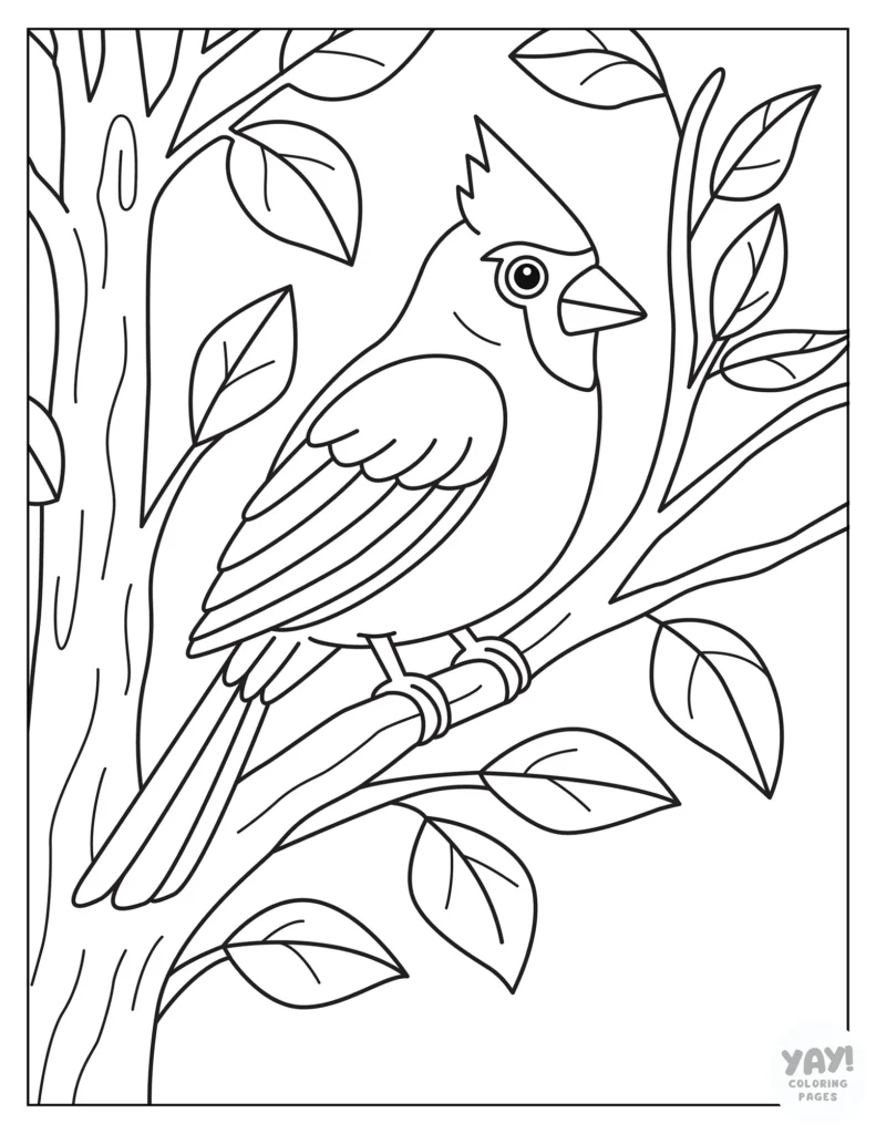 Cardinal in tree coloring page