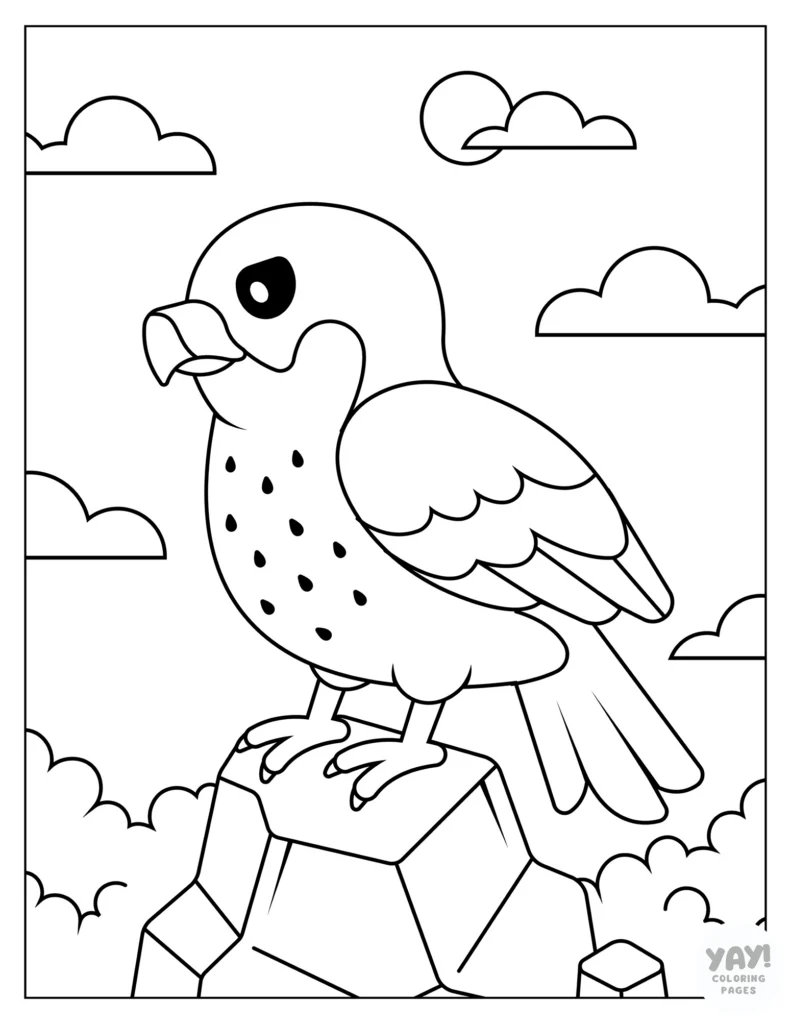 Peregrine falcon coloring page