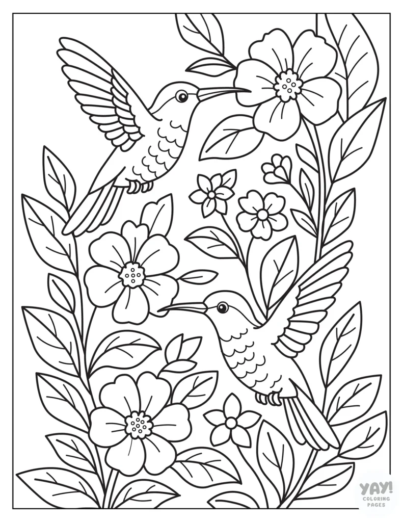 Hummingbirds and flowers coloring page