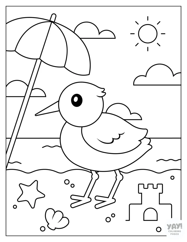Sandpiper at the beach coloring page