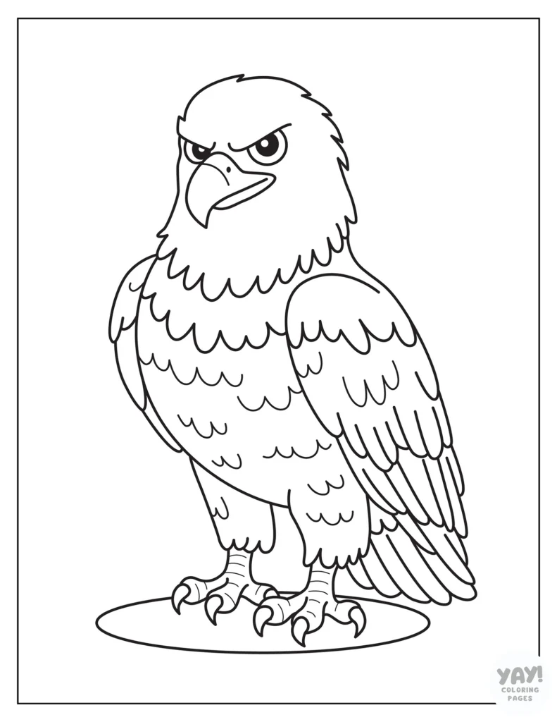 Bald eagle coloring page