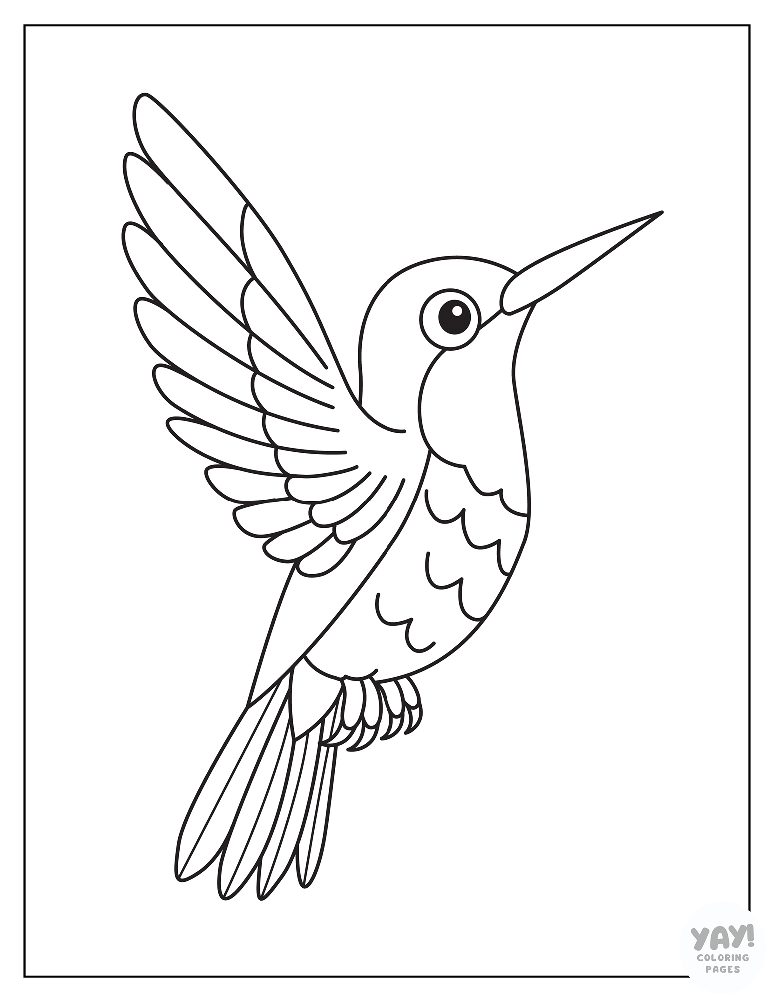 Hummingbird coloring page