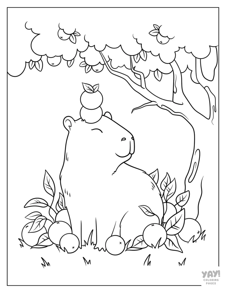 Capybara with orange on its head coloring page