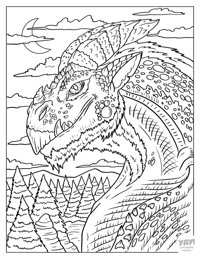 dragon coloring page for adults