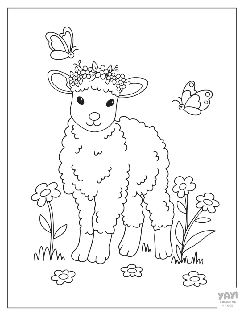Springtime lamb illustration