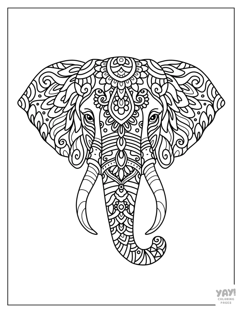 Indian elephant coloring page