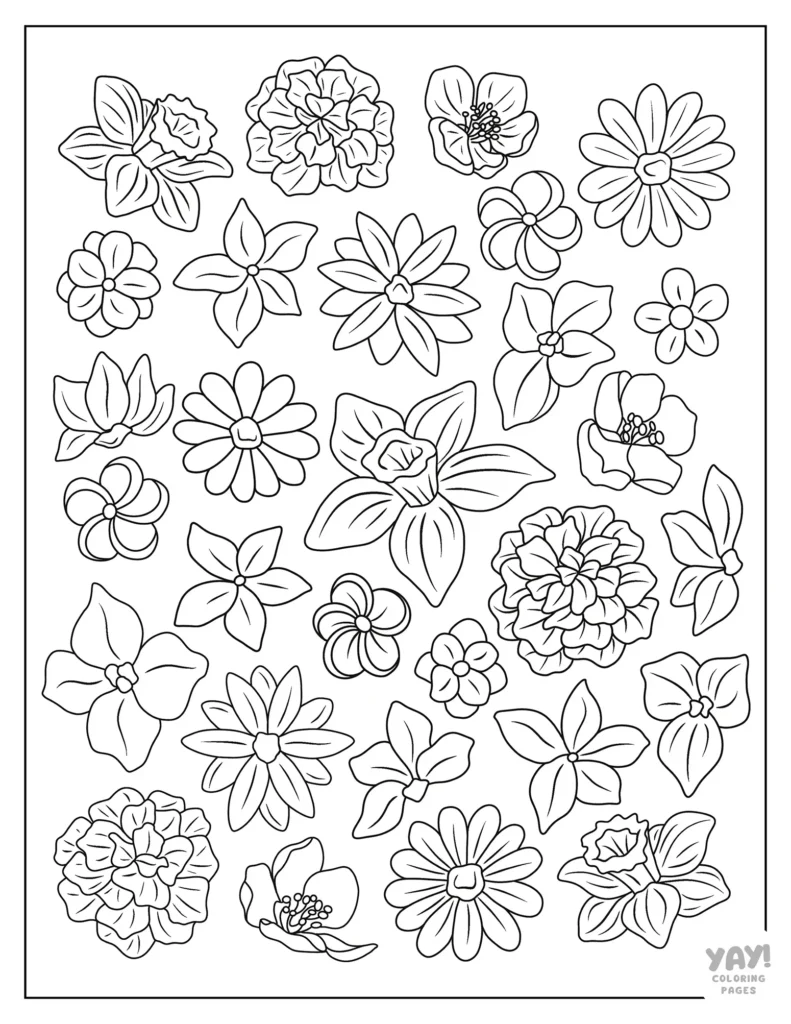 Coloring Pages Of Different Flowers Coloring Pages Of Different Flowers