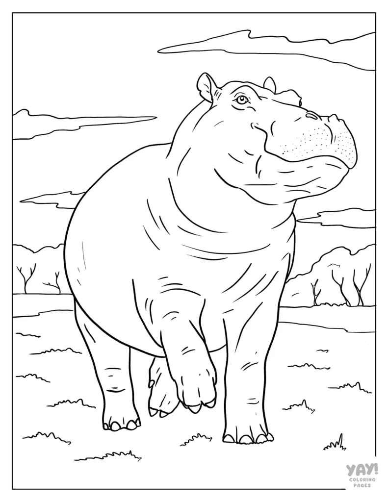 Realistic hippo walking coloring page