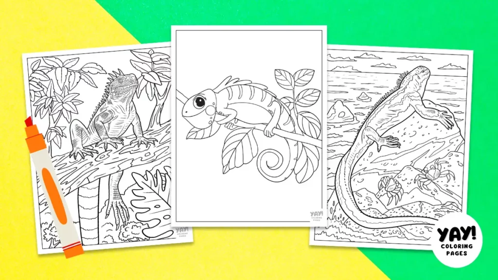 Iguana coloring pages