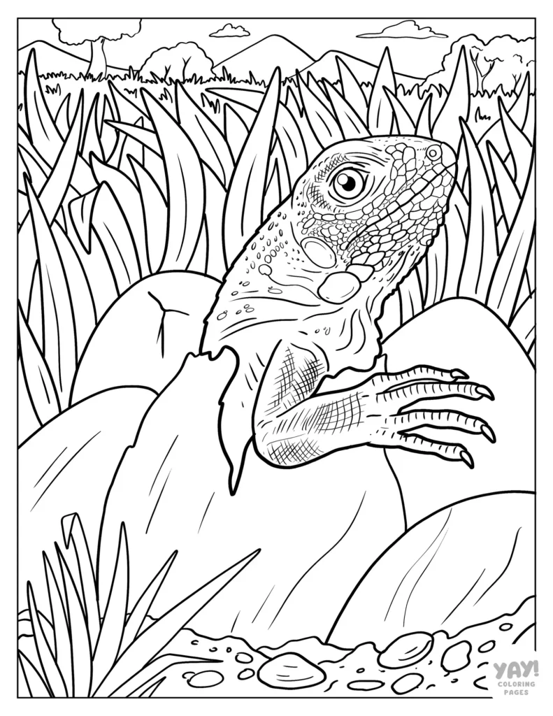 Coloring page of iguana hatching from egg