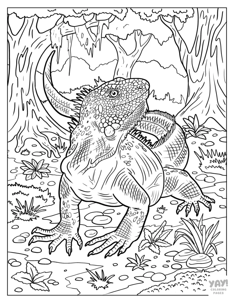 Detailed realistic iguana coloring page for adults