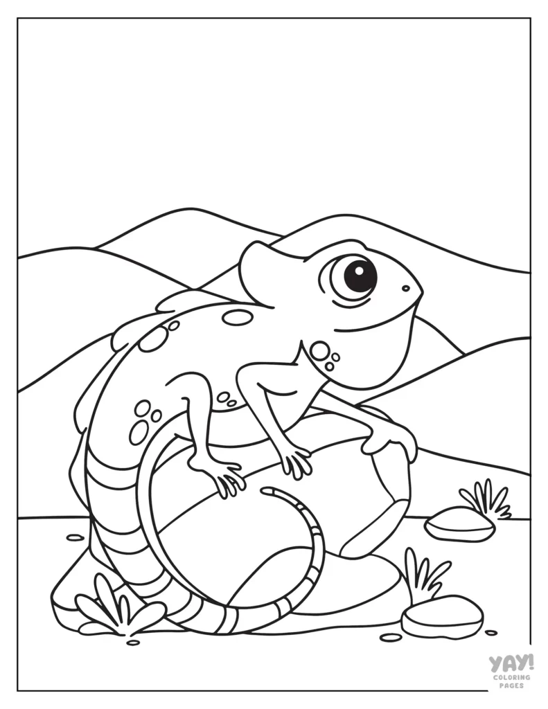 Iguana coloring page for preschoolers