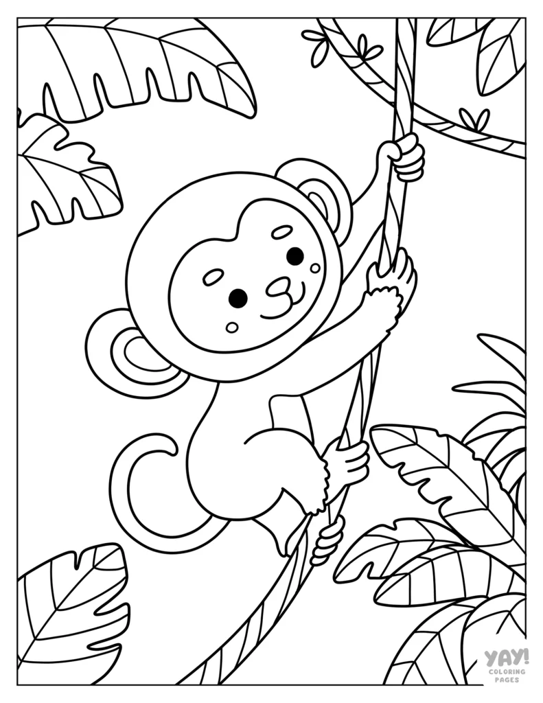 Monkey climbing on vine in the jungle coloring page