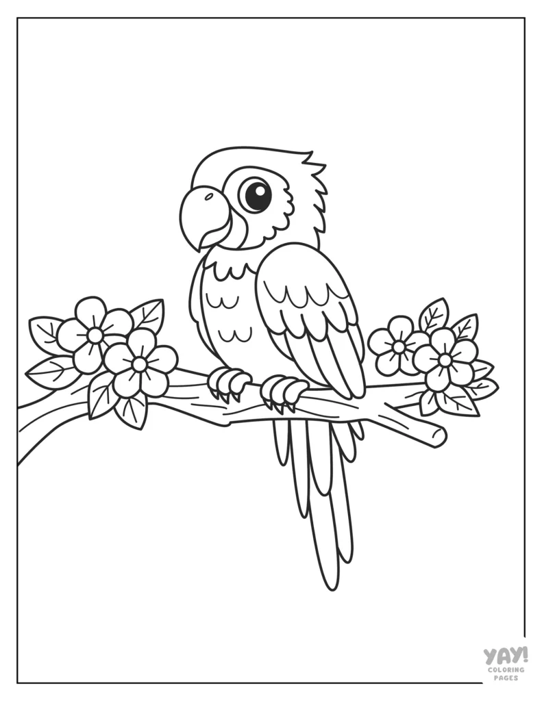 Parrot sitting on branch with flowers coloring page