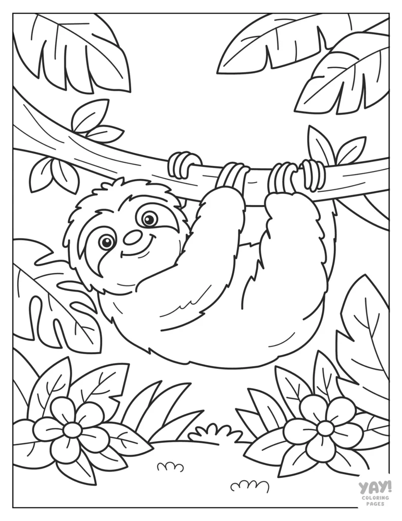 Sloth in the jungle coloring page