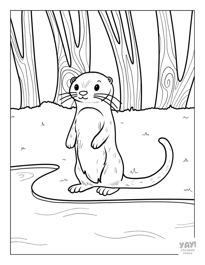 River otter coloring page