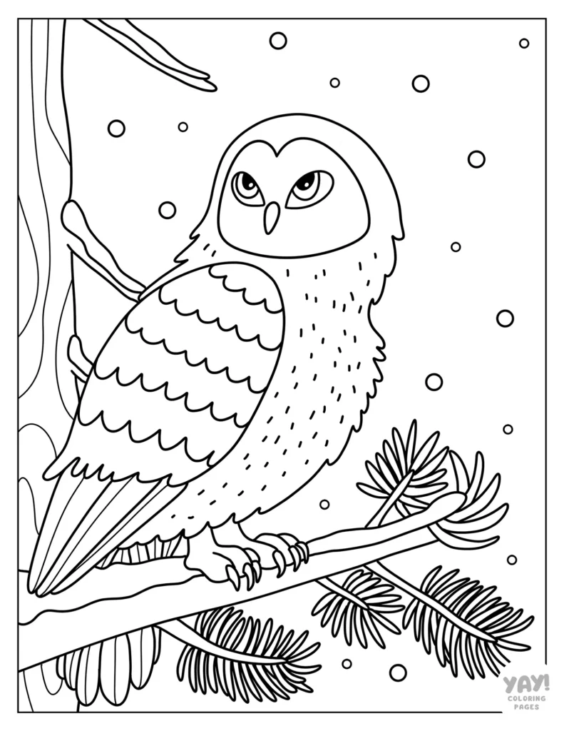 Snowy owl coloring page
