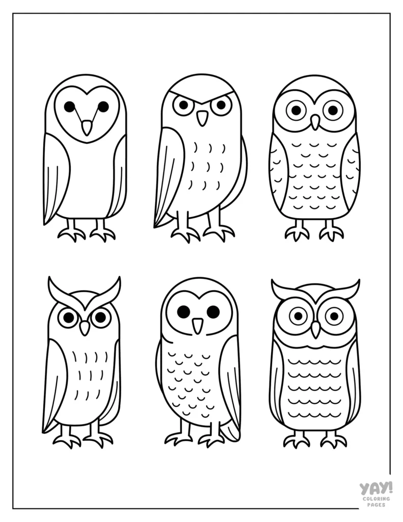 Six owls drawn in a flat graphic style coloring page