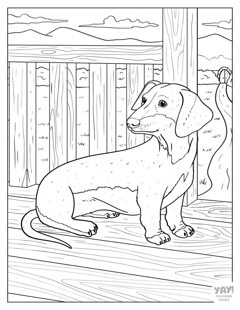 Realistic dachshund coloring page
