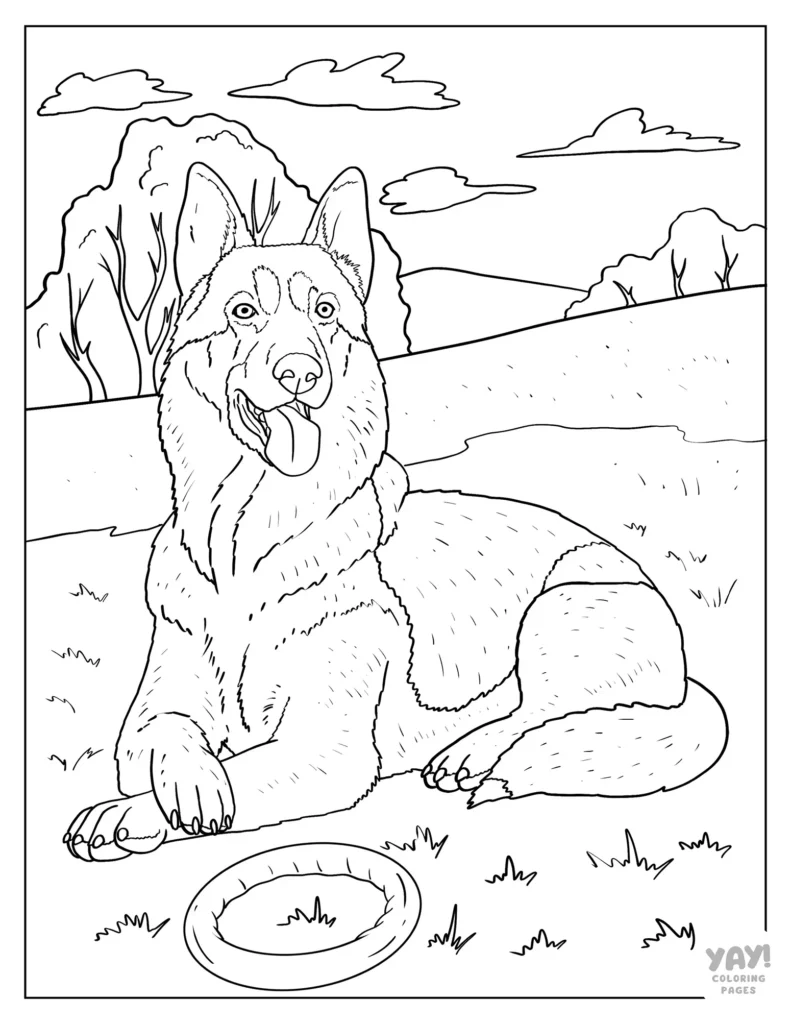 Realistic German shepherd coloring page