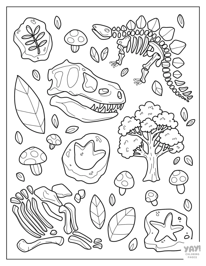 Cool stegosaurus bones and fossils to color