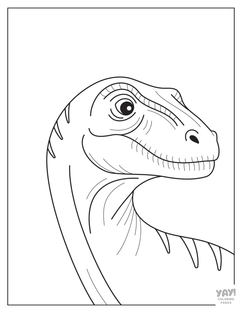 Velociraptor close up of face line drawing to color